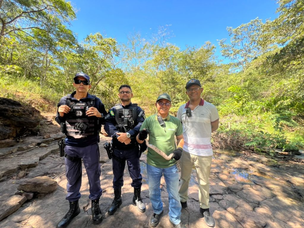 Secretaria Municipal de Meio Ambiente realiza resgate de jiboia e reforça compromisso com preservação ambiental
