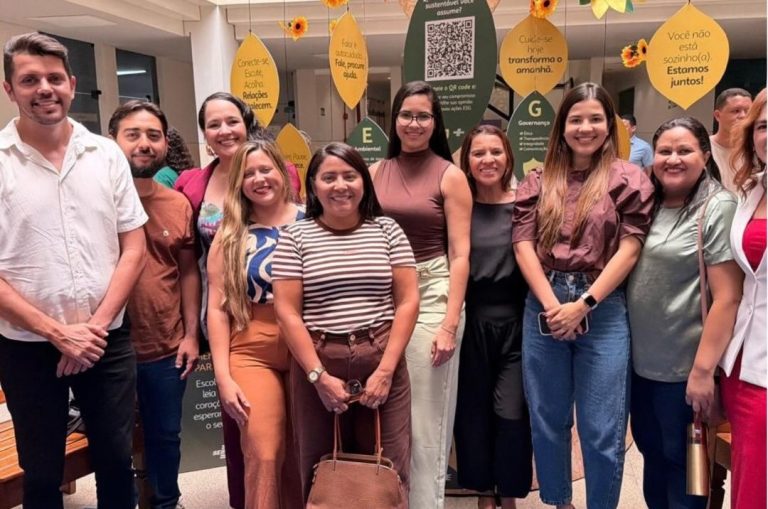 Equipe da Prefeitura de Demerval Lobão participa de capacitação sobre compras públicas e Contrata+Brasil